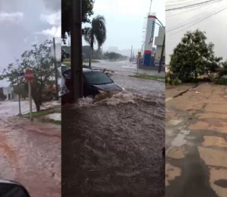 Chuva e fortes ventos causam estragos em Chapadão do Sul