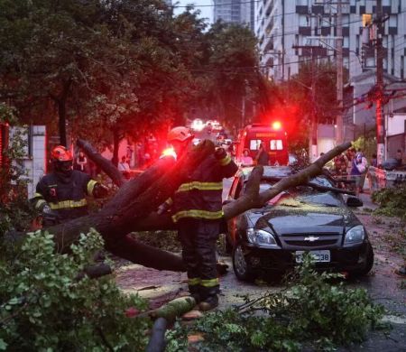 Temporal deixa SP com mais de 300 árvores no chão e 74 mil imóveis sem luz