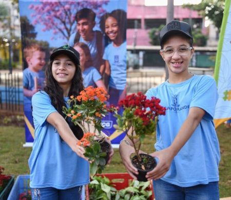Alunos embelezam praça com 400 mudas produzidas em Rochedinho