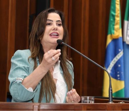 Deputados voltam a pedir mais atenção após registro de 37 feminicídios em MS