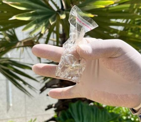 MS explode em casos de dengue e já soma 18 mortes em 2025