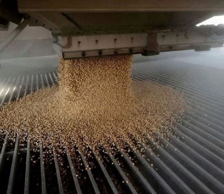 China deve importar recorde de soja em 2025 com compras do Brasil