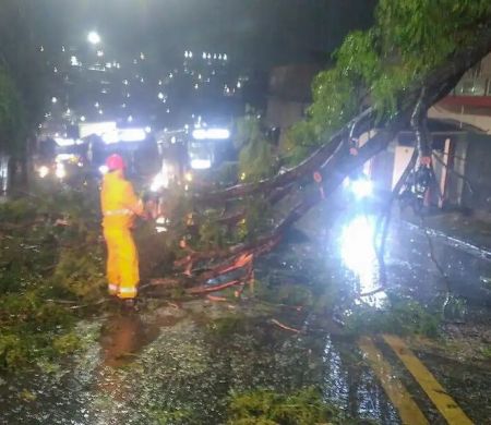 Ciclone deixa 2 milhões de clientes sem energia em São Paulo