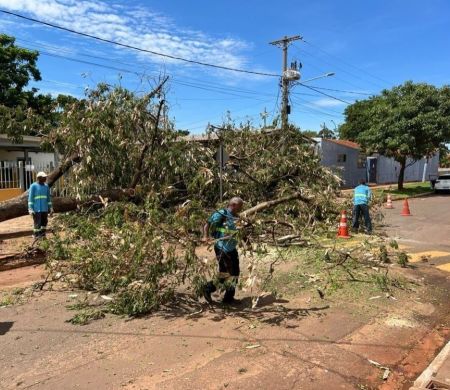 Prefeitura atende população para minimizar os danos causados pelas chuvas em todas a regiões da cidade