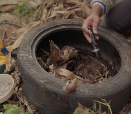 Seis municípios de MS enfrentam alto risco de surto de dengue