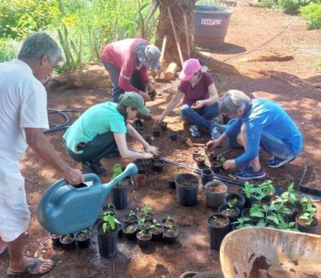 MS avança com a inclusão de fitoterápicos na saúde pública