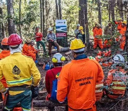 Trump suspende parceria EUA-Brasil financiado pela USAID no combate a incêndios 