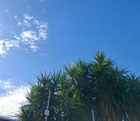 Sábado de calor e variação no tempo em MS com sol e chance de chuva