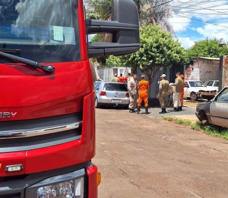 Abelhas atacam animais e provocam choque anafilático em idoso