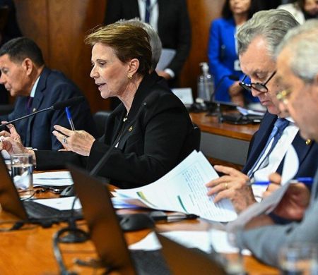 Tereza Cristina defende avanço da Lei do Licenciamento Ambiental