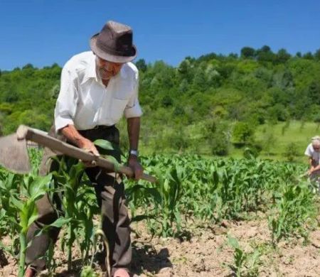 Prefeitura leva mutirão do Desenrola Rural aos assentamentos de Campo Grande