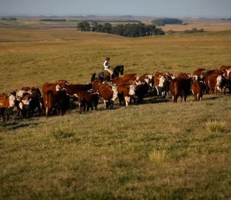 PIB cresce 1,4% no trimestre com trator do agro na dianteira