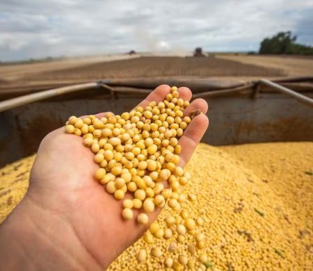 Por que o agro puxou o crescimento da economia no início do ano