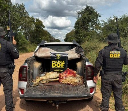 Quadrilha é presa pelo DOF após furtar gado em Corumbá