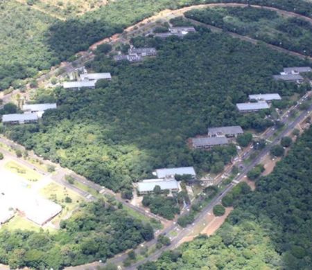 Juiz dá 15 dias para Ibama se manifestar sobre desmatamento no Parque dos Poderes