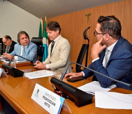 CCJ aprova projeto que obriga empresas a repassar parte do IR à infância e aos idosos