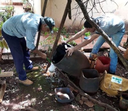 Estado registra 6.796 casos confirmados de dengue