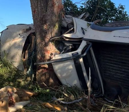 Sobe para 4 as vítimas fatais do acidente em área rural de Miranda