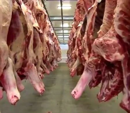Frigoríficos de MS paralisam produção de carne destinada aos EUA com tarifaço 
