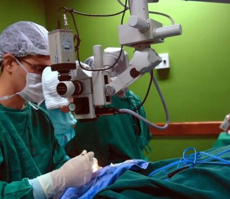 Exames são fundamentais para diagnóstico do câncer de intestino
