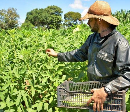 Agricultura Familiar passa a ter Selo para valorizar produção 