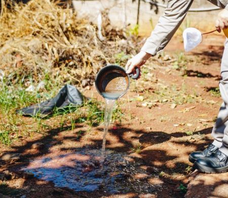 Dengue acende alerta mesmo com baixa incidência na capital