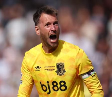 Botafogo anuncia a contratação do goleiro Neto