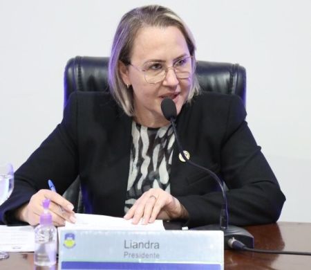 Vereadora pede melhorias urgentes na iluminação de trevos da BR-463