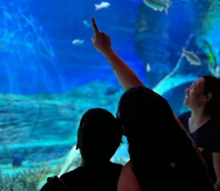 Bioparque terá horário especial no aniversário de Campo Grande 