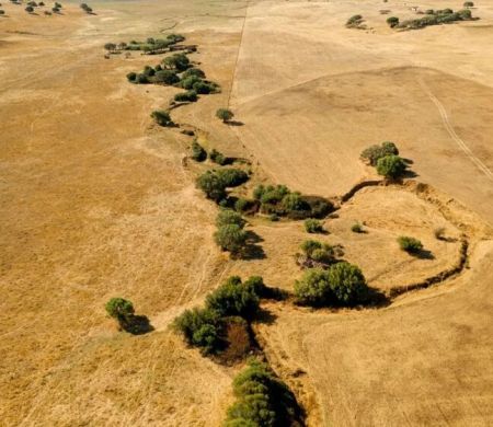Estudo diz que calor da Terra divide África e pode gerar novo oceano