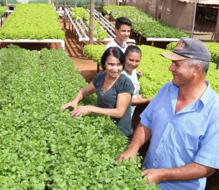 Projeto AgroIntegra CG será lançado amanhã na Capital