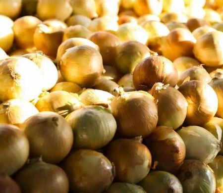 Inflação dos alimentos é a menor desde setembro de 2024 Inflação dos alimentos é a menor desde setembro de 2024