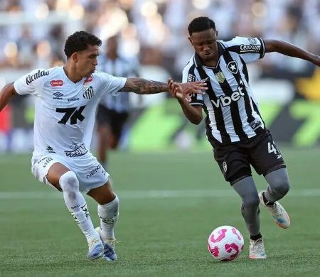 Botafogo faz gol relâmpago, mas cede empate ao Santos em casa Botafogo faz gol relâmpago, mas cede empate ao Santos em casa