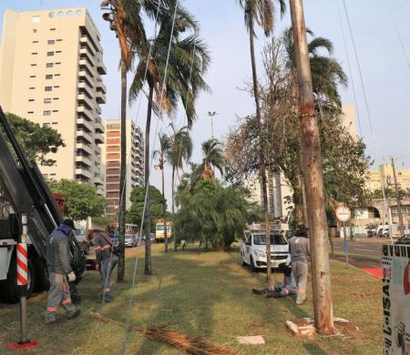 Capital deve ganhar nova iluminação natalina nas principais avenidas Capital deve ganhar nova iluminação natalina nas principais avenidas