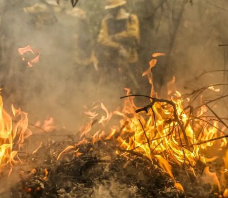 Pantanal é o bioma mais atingido pelo aumento da temperatura no país
