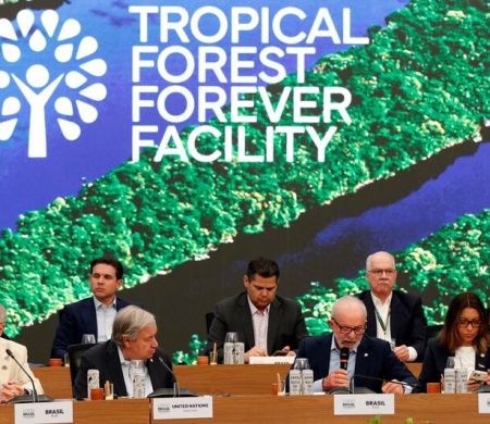 Brasil arrecada R$ 5,5 bi para fundo florestal, mas enfrenta falta de investidores