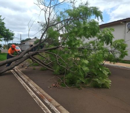 Defesa Civil mantém alerta por risco de chuva neste sábado