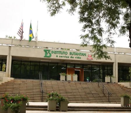 Saúde aprova parcerias para produção de medicamentos destinados ao SUS