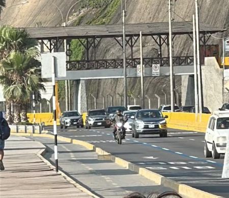 Palmeirense morre em Lima antes da final de logo mais da Libertadores