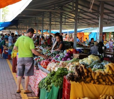 Prefeitura de Dourados mantém serviços essenciais no fim de ano&nbsp;