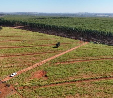 Encontro estratégico de logística florestal terá como sede a Capital&nbsp;de MS
