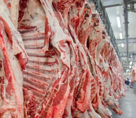 Exportação de carne bovina inatura para os EUA em 2026 já esgotou a cota&nbsp;