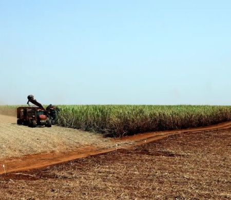 País terá safra recorde de 346 milhões de toneladas em 2025, prevê IBGE&nbsp;