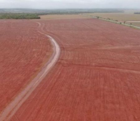 FCO teve recorde de financiamentos em Mato Grosso do Sul em 2025