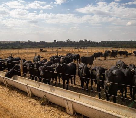 Prévia do PIB aponta crescimento de 2,5 da economia em 2025