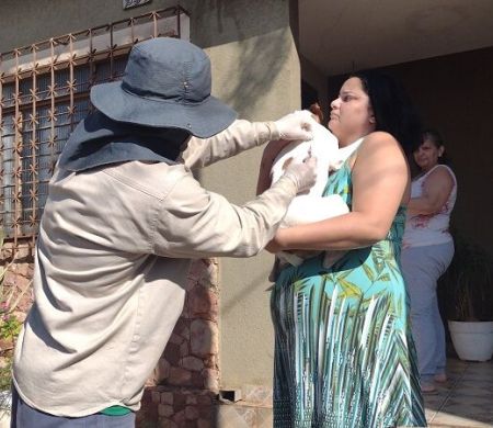 Quatro bairros de Campo Grande recebem ação de vacinação antirrábica