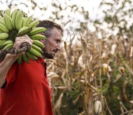 Câmara aprova uso de recursos do FGO em operações do Pronaf