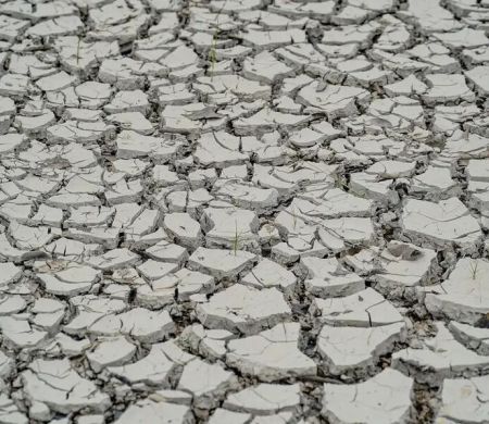 Governo decreta situação de emergência em 15 cidades do Nordeste