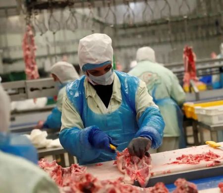 Exportações de frango atingem recorde para mês de fevereiro