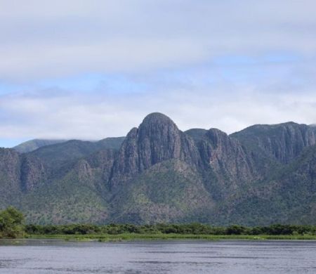 PSA Brigadas destinou mais de R$ 6,1 mi a projetos sustentáveis